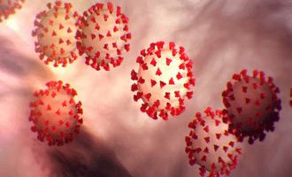 Virus